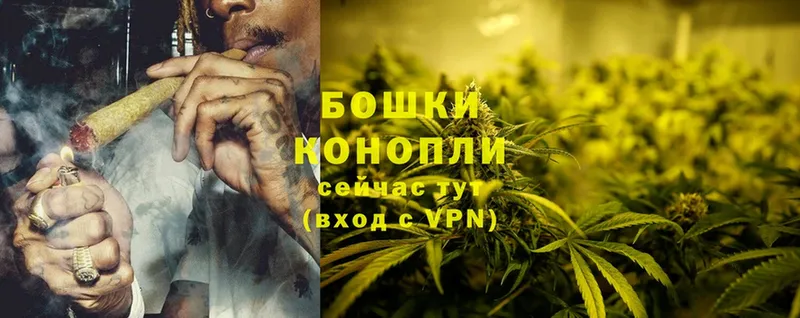 Бошки Шишки THC 21%  Покачи 